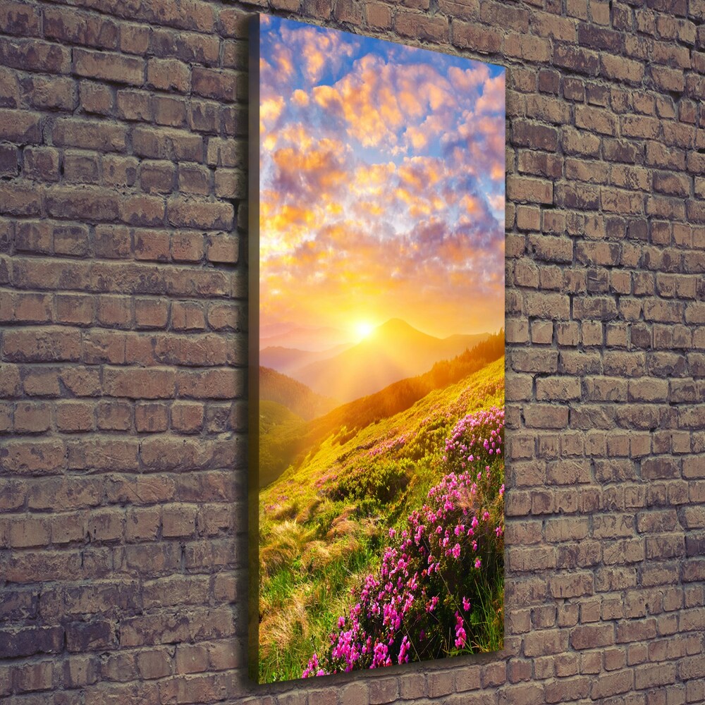 Wall canvas art Sunset of the mountain