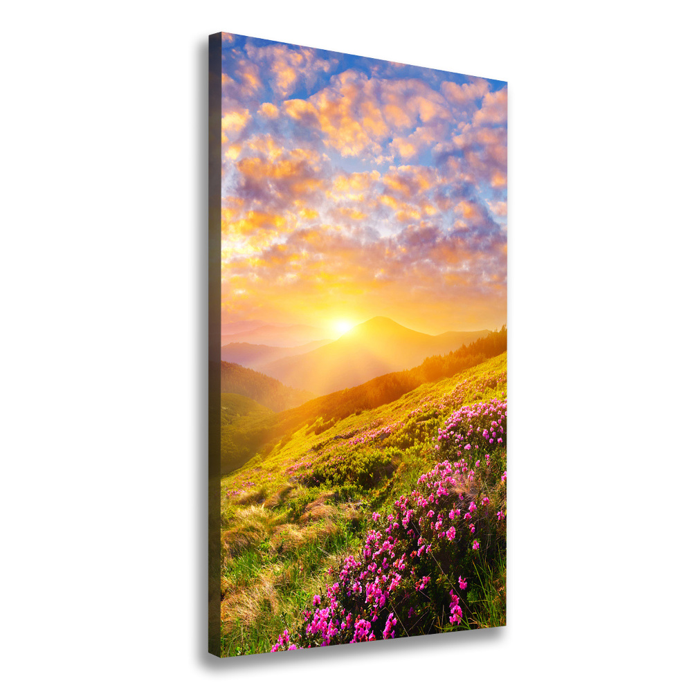 Wall canvas art Sunset of the mountain