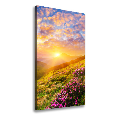 Wall canvas art Sunset of the mountain