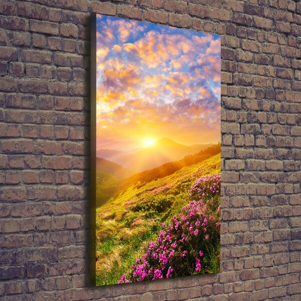 Wall canvas art Sunset of the mountain