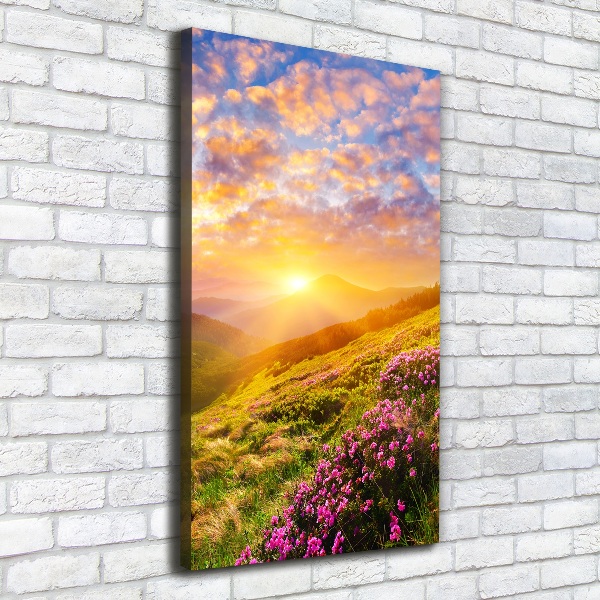 Wall canvas art Sunset of the mountain