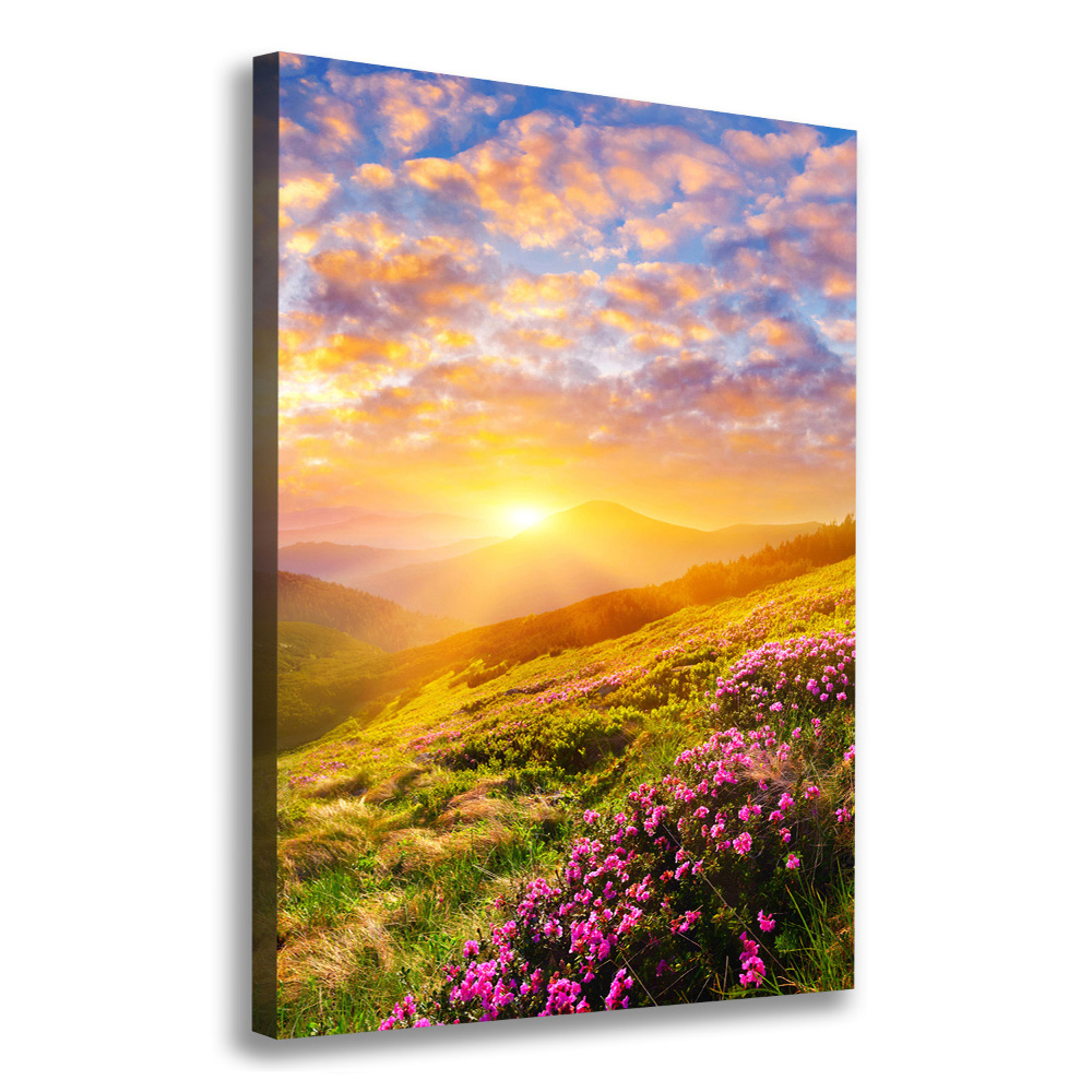 Wall canvas art Sunset of the mountain