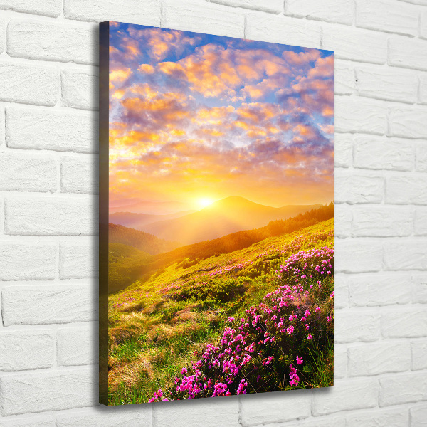 Wall canvas art Sunset of the mountain