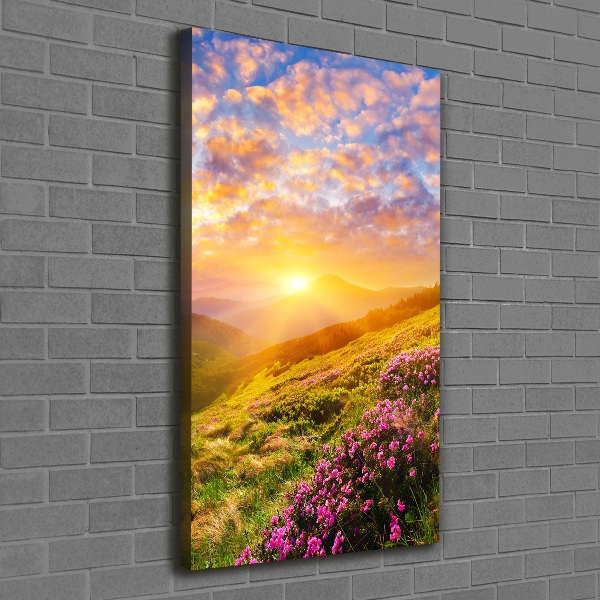 Wall canvas art Sunset of the mountain