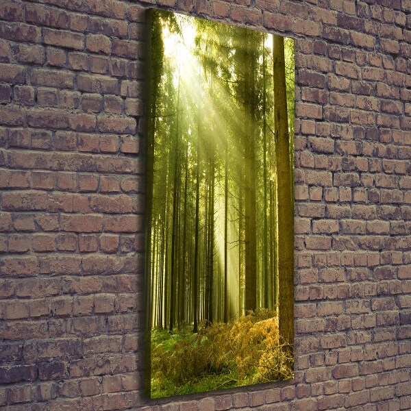 Wall canvas art The sun in the forest