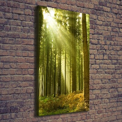 Wall canvas art The sun in the forest