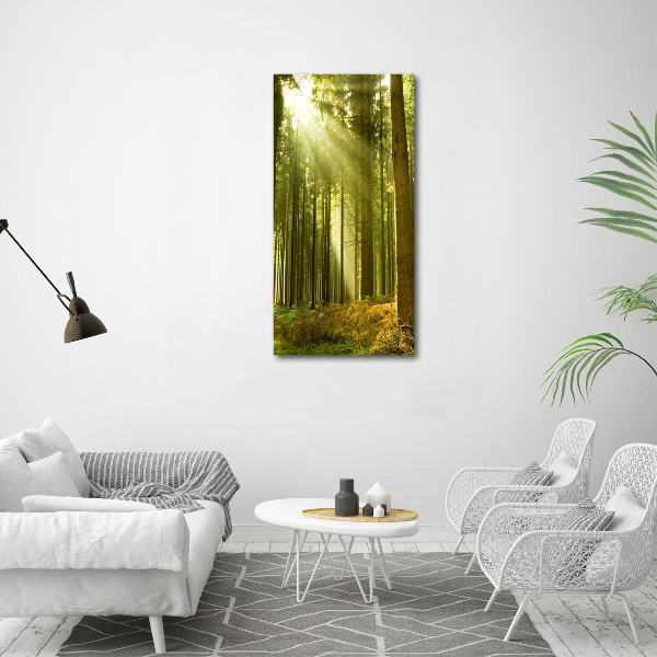 Wall canvas art The sun in the forest