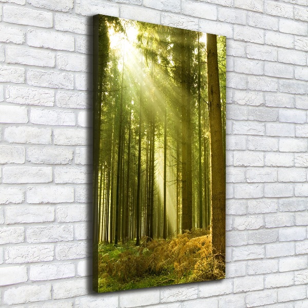 Wall canvas art The sun in the forest