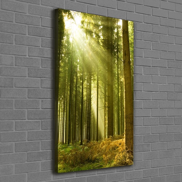 Wall canvas art The sun in the forest