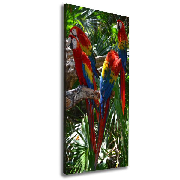 Canvas wall art Ary parrots