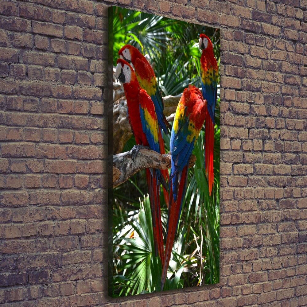 Canvas wall art Ary parrots