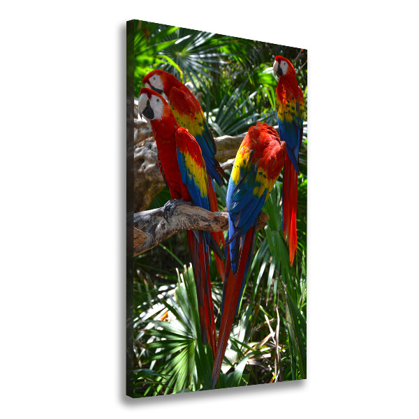 Canvas wall art Ary parrots