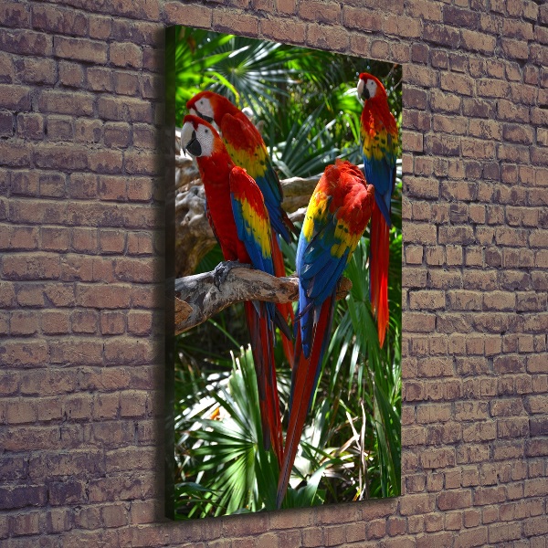 Canvas wall art Ary parrots