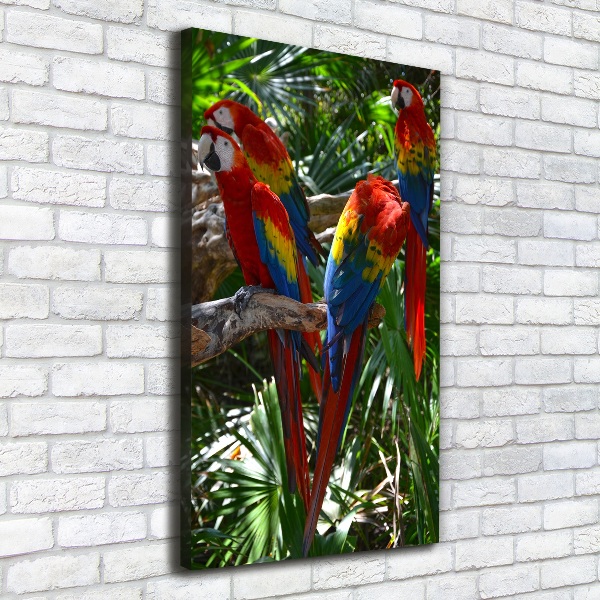 Canvas wall art Ary parrots