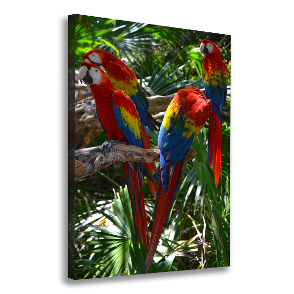 Canvas wall art Ary parrots