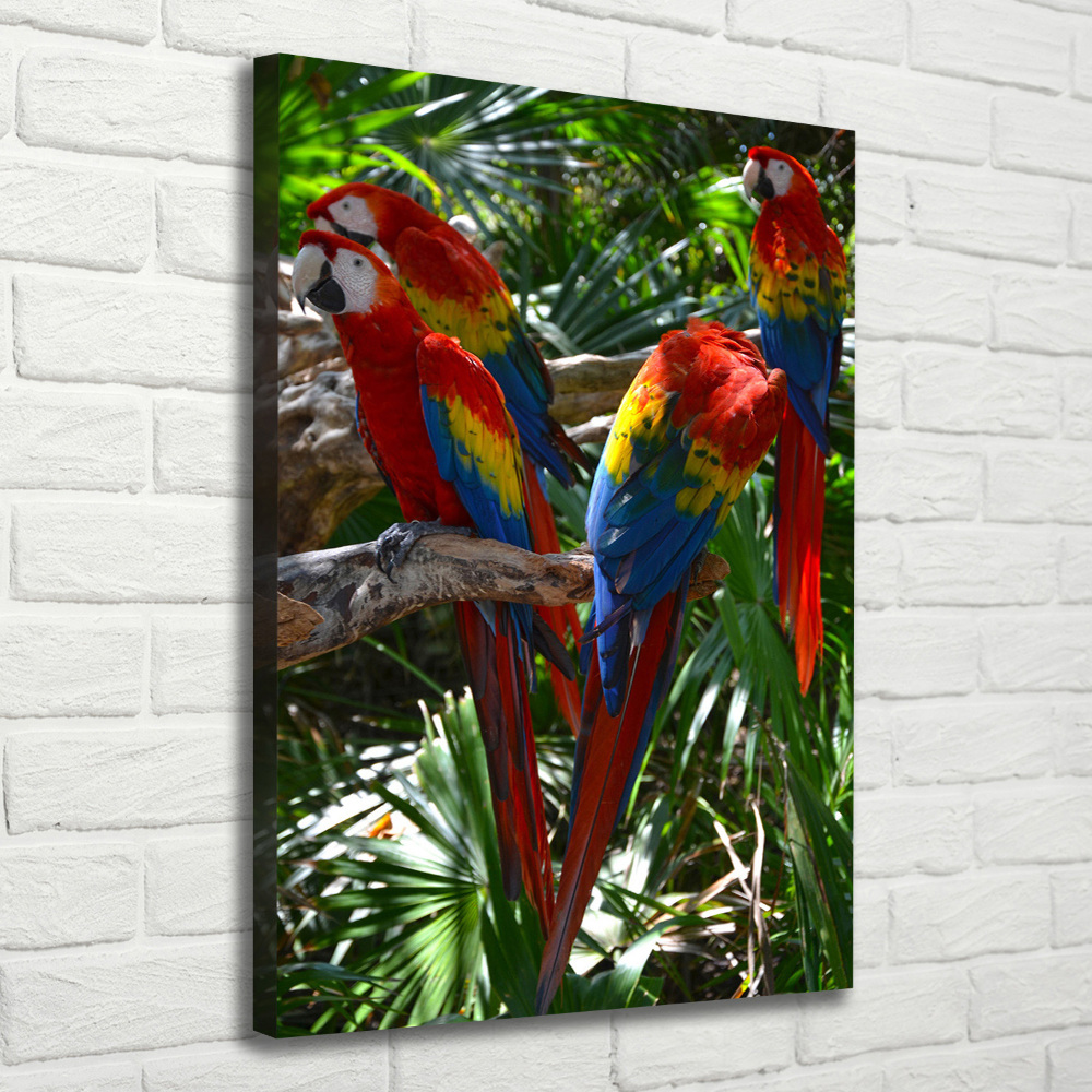 Canvas wall art Ary parrots