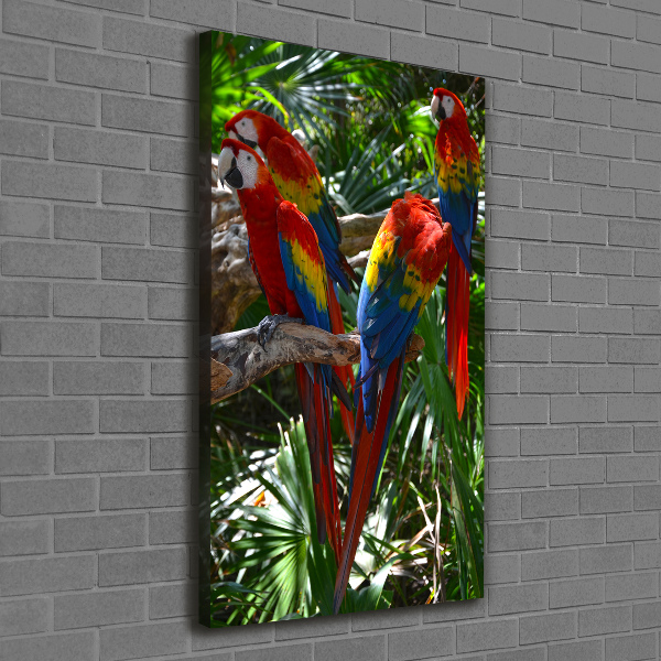 Canvas wall art Ary parrots