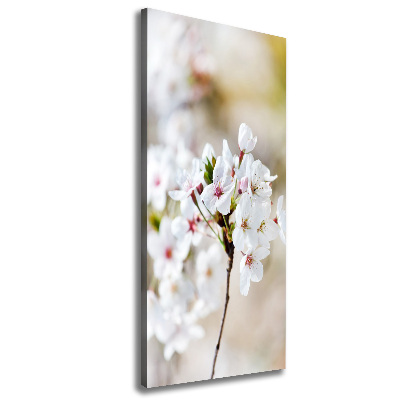 Wall art canvas Cherry blossoms