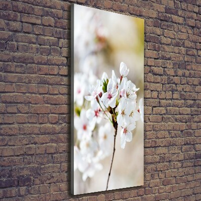 Wall art canvas Cherry blossoms