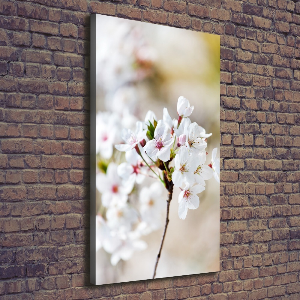 Wall art canvas Cherry blossoms