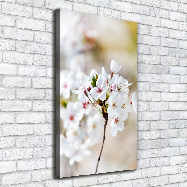 Wall art canvas Cherry blossoms