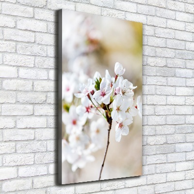 Wall art canvas Cherry blossoms