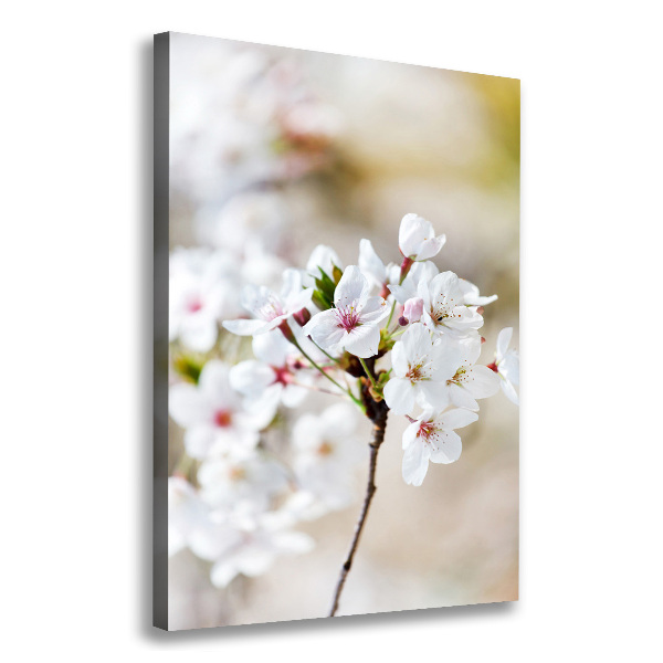 Wall art canvas Cherry blossoms