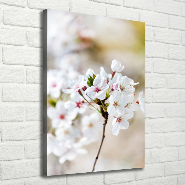 Wall art canvas Cherry blossoms