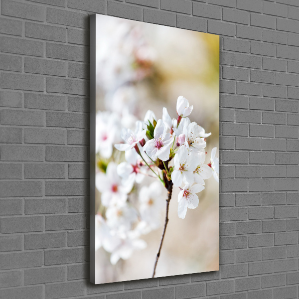 Wall art canvas Cherry blossoms