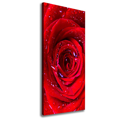 Picture canvas print Red rose