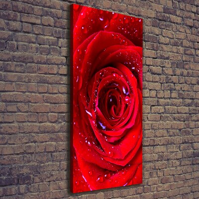 Picture canvas print Red rose