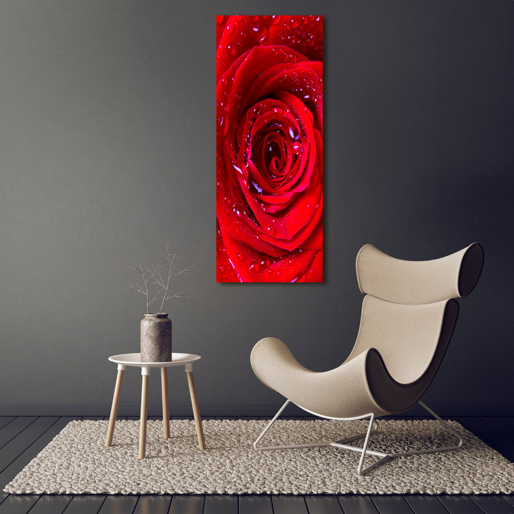 Picture canvas print Red rose