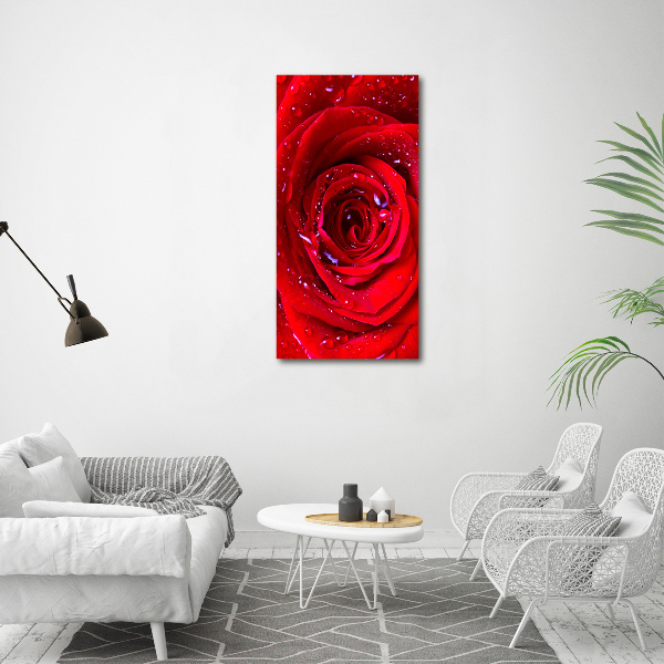 Picture canvas print Red rose