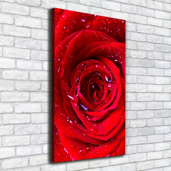 Picture canvas print Red rose