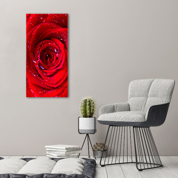 Picture canvas print Red rose