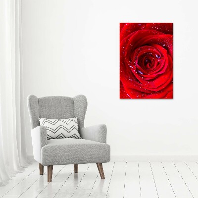 Picture canvas print Red rose