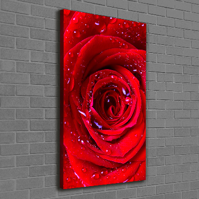 Picture canvas print Red rose