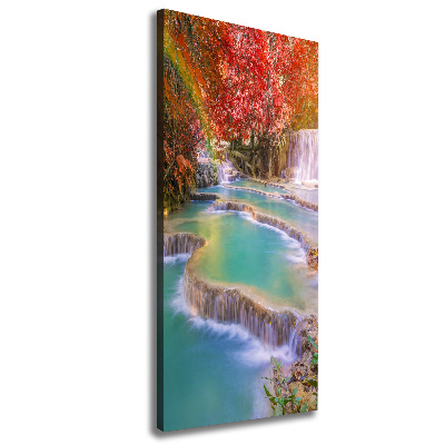 Wall canvas art Waterfall in autumn