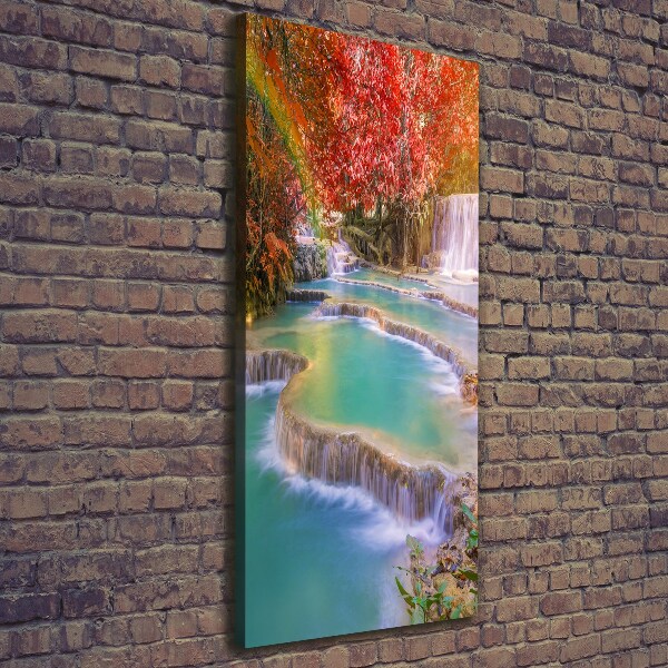 Wall canvas art Waterfall in autumn