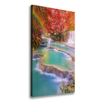 Wall canvas art Waterfall in autumn