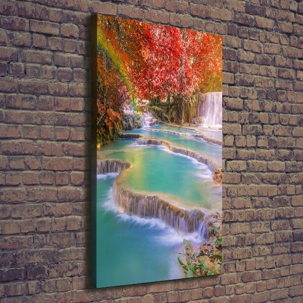 Wall canvas art Waterfall in autumn