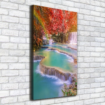 Wall canvas art Waterfall in autumn