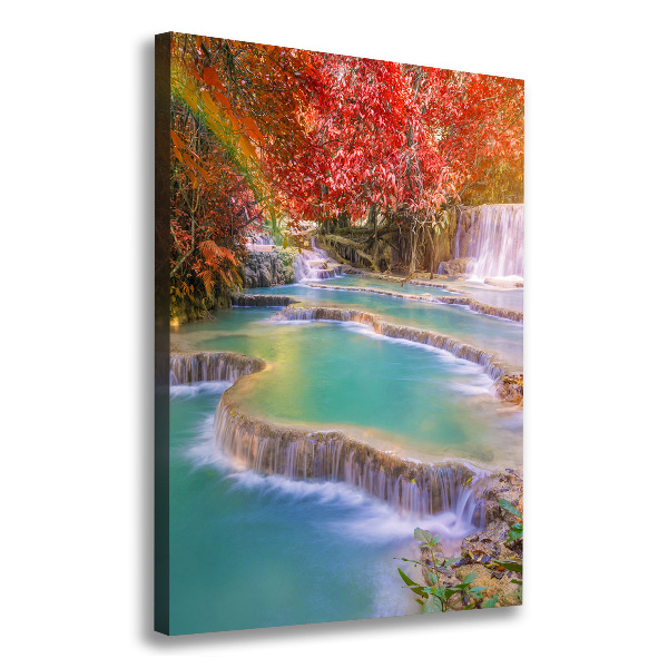 Wall canvas art Waterfall in autumn