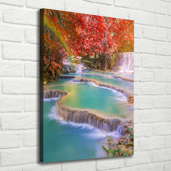 Wall canvas art Waterfall in autumn