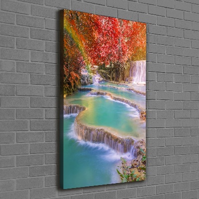 Wall canvas art Waterfall in autumn