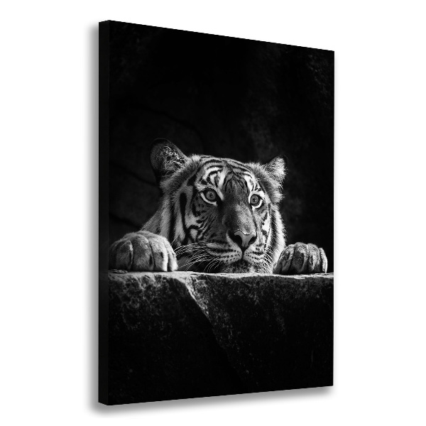 Canvas wall art Tiger