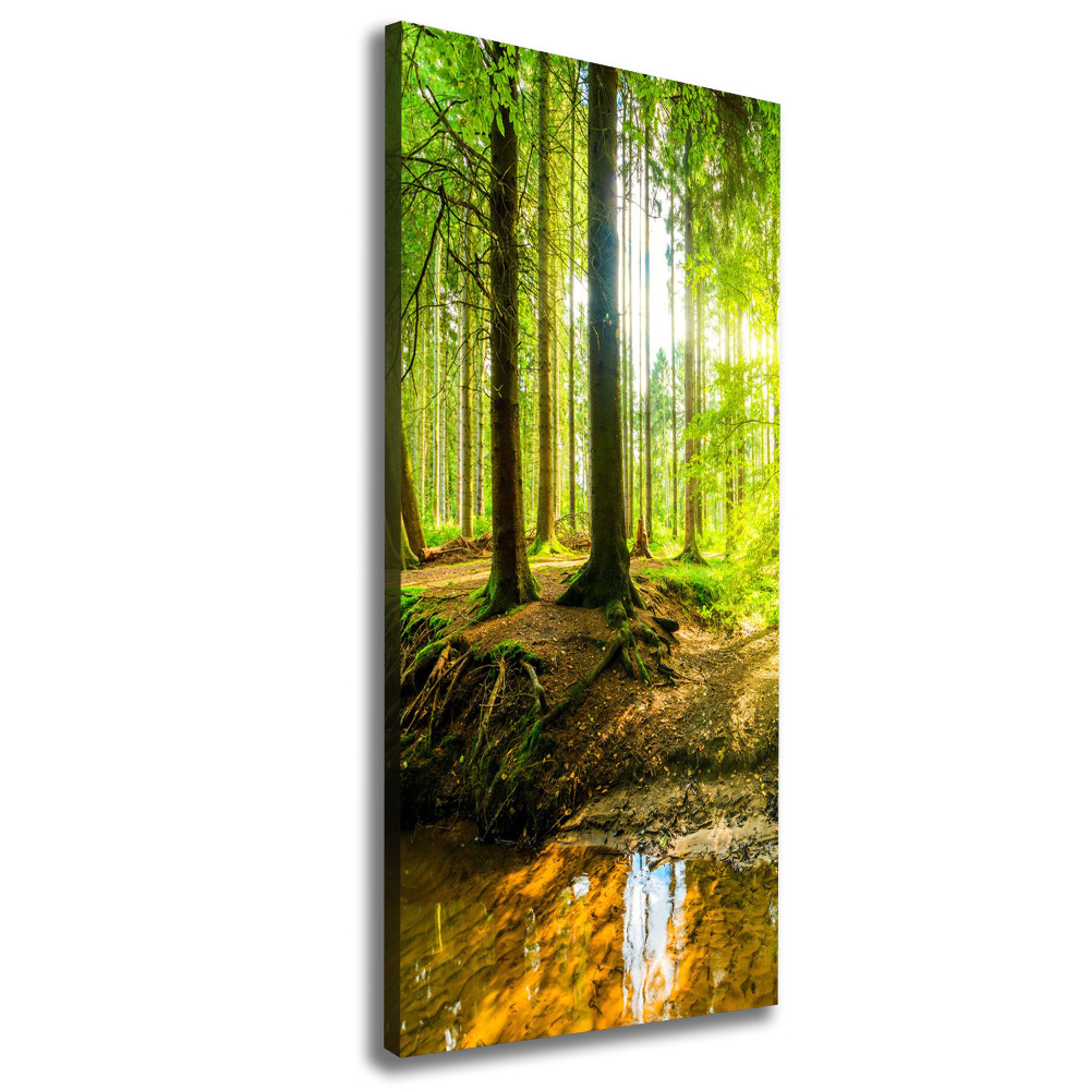 Wall canvas art The sun in the forest