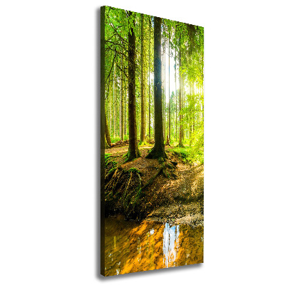 Wall canvas art The sun in the forest