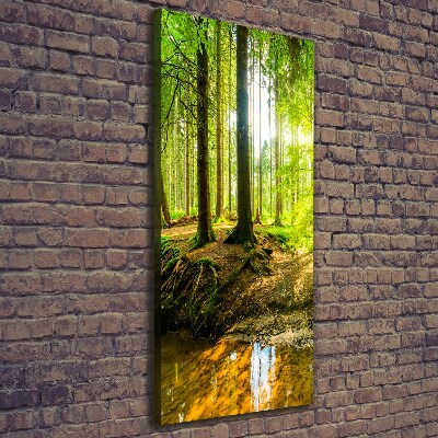 Wall canvas art The sun in the forest