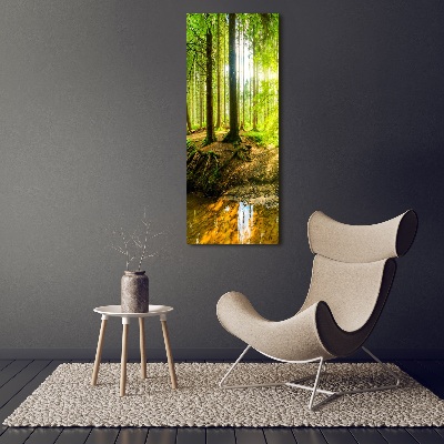 Wall canvas art The sun in the forest